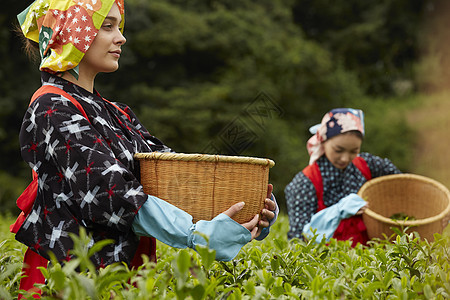  抱着竹筐的两名女性图片