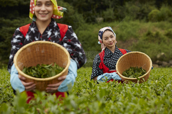 抱着竹筐的采茶女性图片