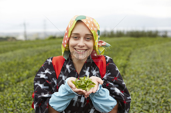  双手捧茶叶的外国女性图片