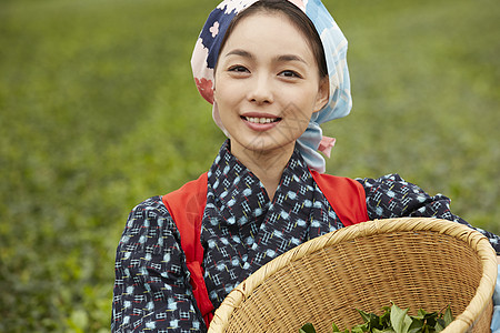 嫩芽抱着竹筐的采茶女性背景