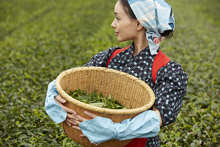 抱着竹筐的采茶女性图片