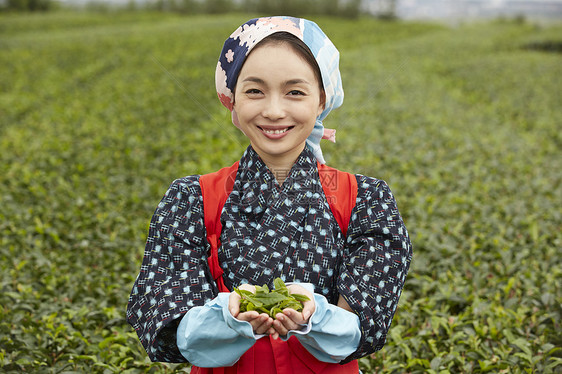 手捧茶叶的妇女图片