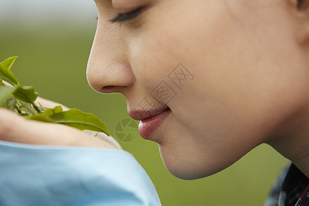 手捧茶叶的妇女图片