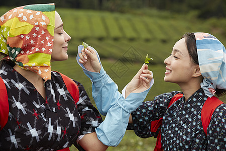 品味新鲜茶叶的女子图片