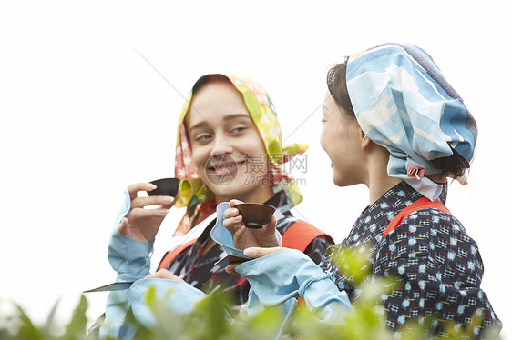 品味新鲜茶叶的女子图片