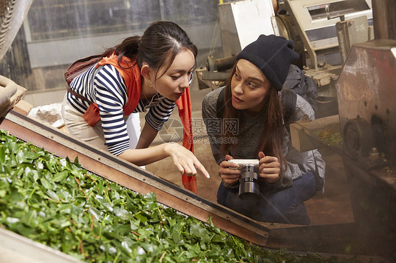 在茶叶加工厂参观的青年女子图片