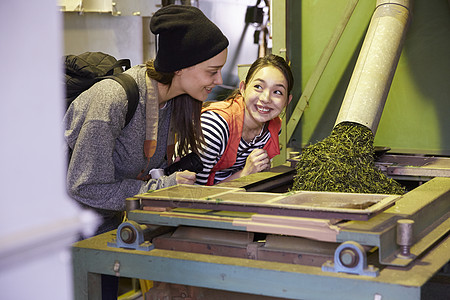 参观茶厂的外国妇女和日本妇女图片