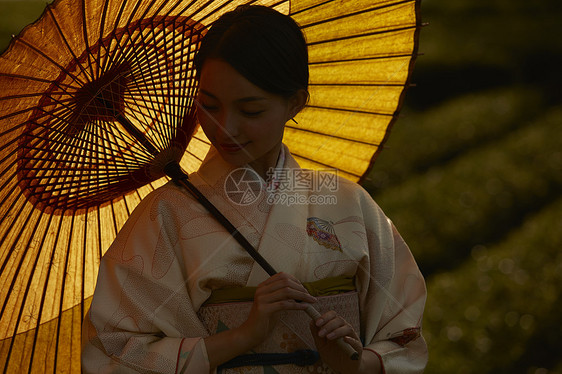 在茶园穿和服的优雅女人图片