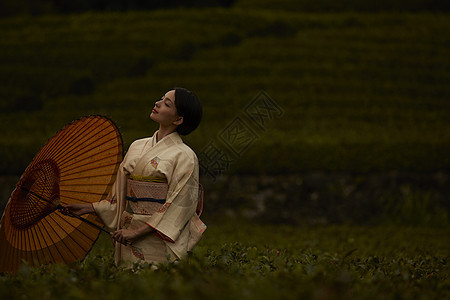 穿着和服的女子在茶园图片