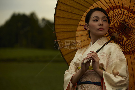 优雅的和服女子在茶园散步图片