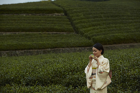 女人喝茶背影图片图片