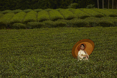 走在茶园的和服女人图片