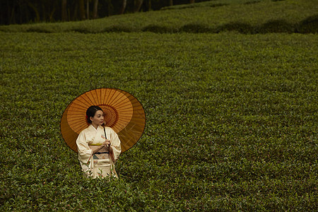 走在茶园的和服女人图片