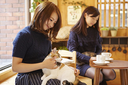 在猫咖抱着猫玩的女人图片