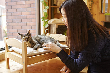 在猫咖女人开心的和猫玩图片