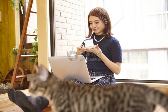 女孩在猫咪咖啡馆使用笔记本电脑图片
