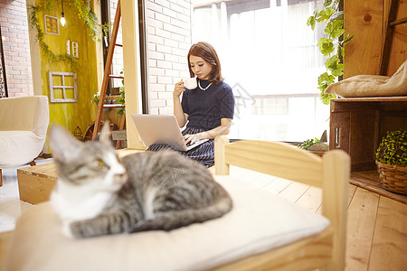 复制空间年轻文稿空间猫咖啡馆图片