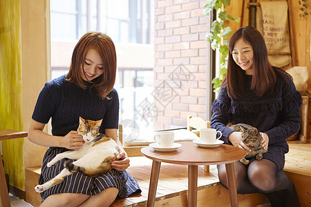 猫咖啡馆在猫咖抱着猫玩的女人背景