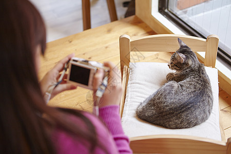 在猫咖给椅子上的猫拍照的女人图片