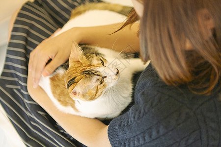 在猫咖抱着猫玩的女人图片