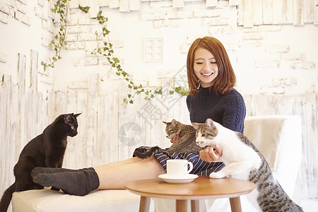 在猫咖抱着猫玩的女人图片