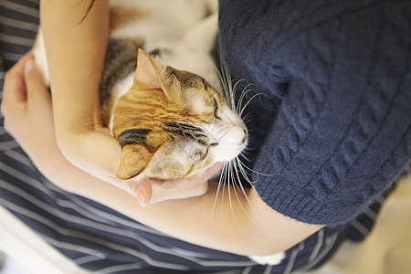 在猫咖抱着猫玩的女人图片