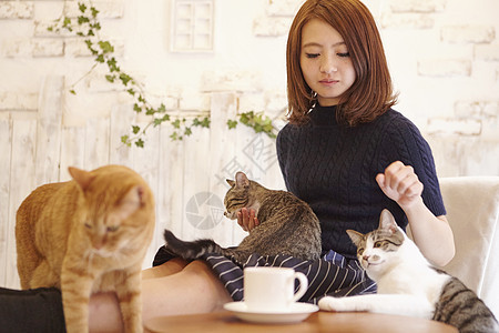 在猫咖抱着猫玩的女人图片