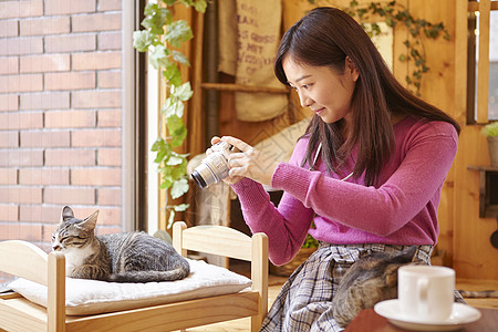 在猫咖女人给小床上的猫拍照图片