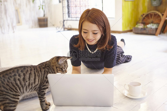 在猫咖猫看着女人办公的笔记本电脑图片