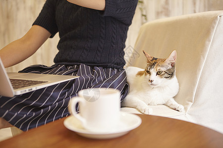 猫咪陪着女性在咖啡店工作图片