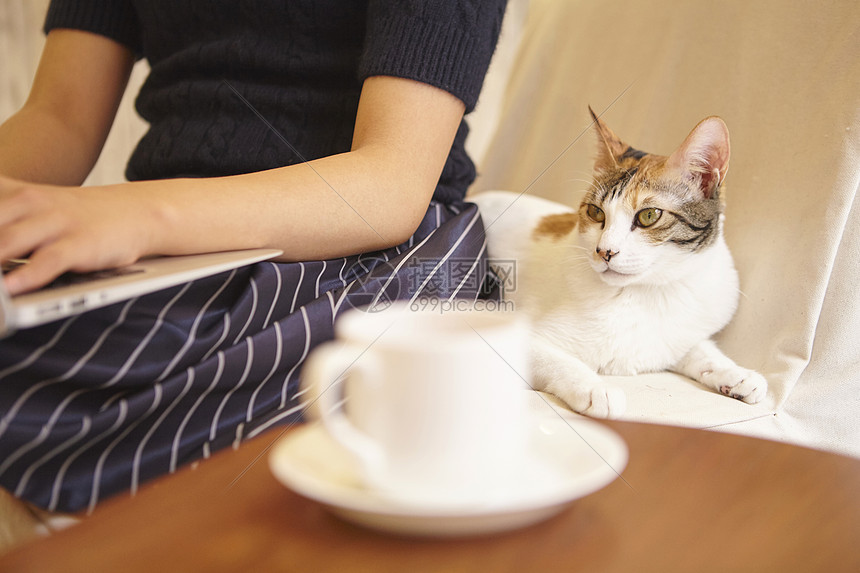 猫咪陪着女性在咖啡店工作图片
