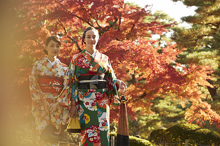 茶屋町穿着和服的女人站在枫叶前图片