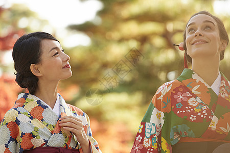 茶屋町穿着和服的女人站在枫叶前图片