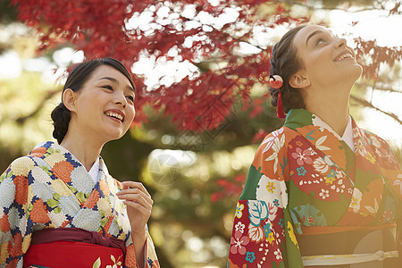 茶屋町穿着和服的女人站在枫叶前图片