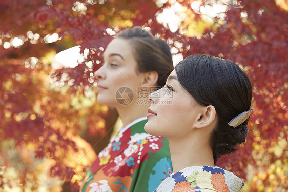 茶屋町穿着和服的女人站在枫叶前图片