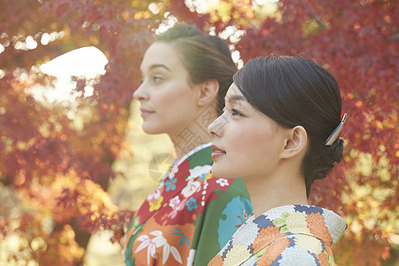 茶屋町穿着和服的女人站在枫叶前图片