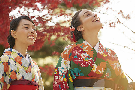 和服女人带领外国游客观赏红枫叶图片