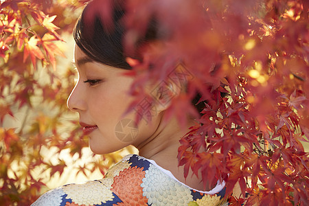 红色枫叶和服女人肖像图片