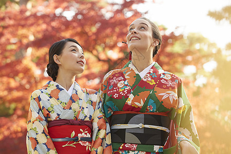 和服女人带领外国游客观赏红枫叶图片