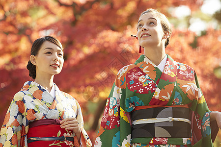 和服女人带领外国游客观赏红枫叶图片