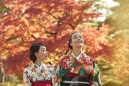 和服女人带领外国游客观赏红枫叶图片