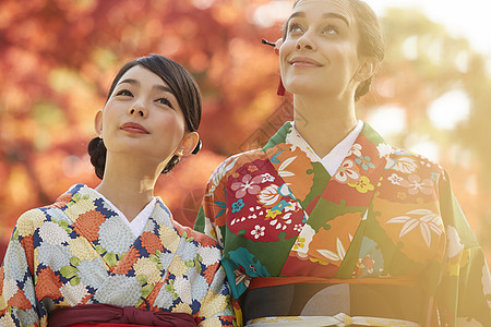 和服女人带领外国游客观赏红枫叶图片