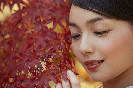 看枫叶的女性图片