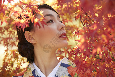 茶屋町穿着和服的女人站在枫叶前图片