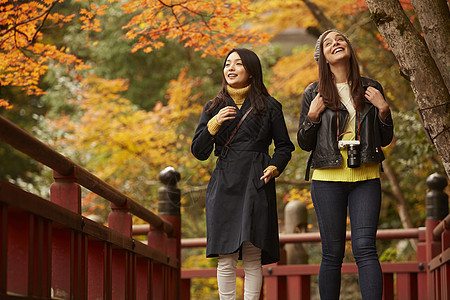 女人和外国友人一起观光欣赏枫叶图片