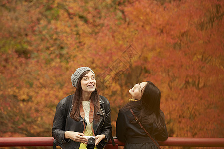 两个女人观光欣赏枫叶图片