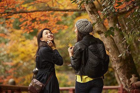 两个女人观光欣赏枫叶图片