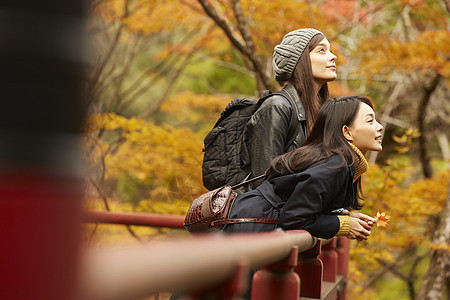 在红枫林旅游拍照的外国美女和日本美女图片