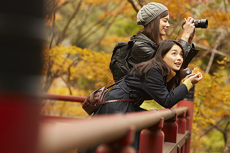 在红枫林旅游拍照的外国美女和日本美女图片