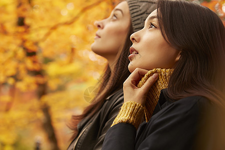 女人和外国友人一起观光欣赏枫叶图片